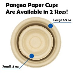 Small 0.5oz Paper Gecko Food & Water Cups, 100 ct.