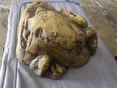 XXL EXOTERRA REPTILE HIDE OUT ROCK