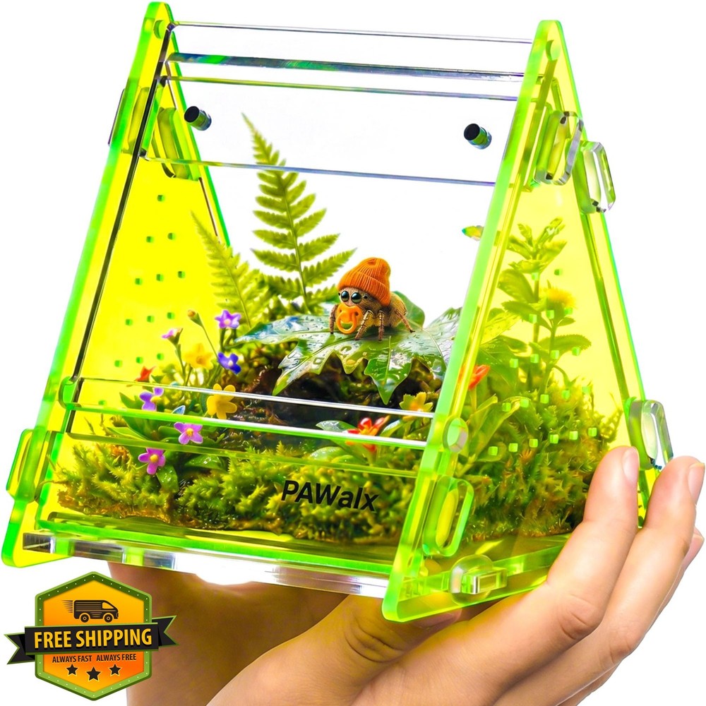 PAWALX Jumping Spider Enclosure, Green, 3.5″ Acrylic Terrarium