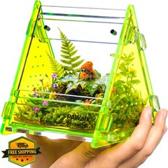 PAWALX Jumping Spider Enclosure, Green, 3.5″ Acrylic Terrarium