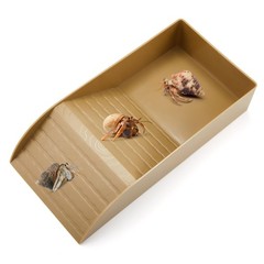Hermit Crab Water Tank Bowl Climbing Ramp Reptile Habitat Accessories Wood Color