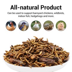 2 Lbs High Protein Dried Insect Trail Mix Natural Treat for Chickens Reptiles US