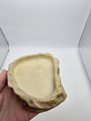 Exo-Terra Granite Rock Reptile Feeding water food Dish Medium