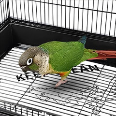 Bird Cage Liners, Bird Cage Paper Liners, 50Pcs Disposable Cage Liners, Pre-Cut