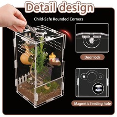 8x4x4 Inch Vertical Acrylic Jumping Spider Tarantula Enclosure Terrarium