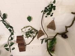 Reptile Habitat Accessories Bundle for Terrarium