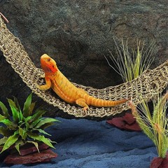 Mipcase 2Pcs Reptile Seagrass Hammock Lizard Hammock Hanging Ladder Lounger C…