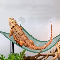Triangular Green Bearded Dragon Hammock Set – 2 Breathable Loungers for Lizards