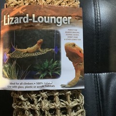Pet Reptile Natural Corner Lounger Platform Basking & 75w Spot Lamp