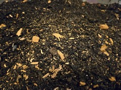 Premium Millipede Substrate – Natural Detritivore Soil Mix for Healthy Growth &
