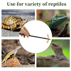 Reptile Feeding Tongs, Stainless Steel Lizard Feeding Tongs, Aquarium Straigh…
