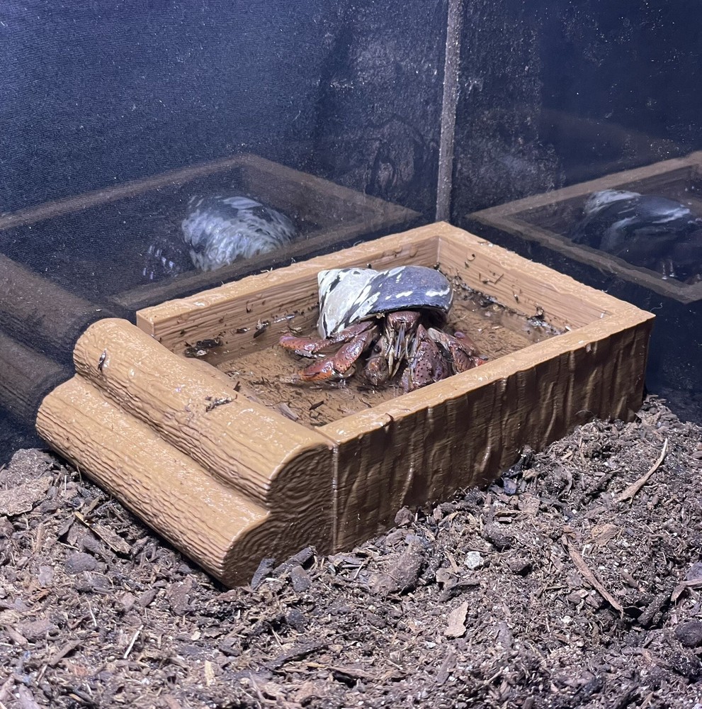 Hermit Crab Pool Log Tank Decoration Ornament Hermit Crab Decor Toys Supplies