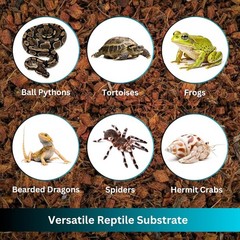 Premium Coconut Chip Substrate for Reptiles – 10 LB Block in Carton Box, E