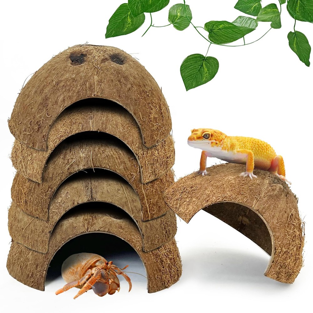 Reptile Hideouts 7 Pcs Coconut Shells 4.5″ Diameter for Gecko Lizard – Natural