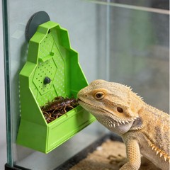 Reptile Feeding Bowl, Feeder for Reptile,Reptile Corner Feeder with Suction Cups