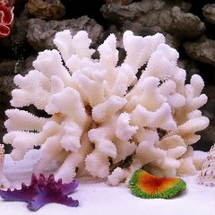 Besimple Pack of 2 Artificial Coral Ornament, Aquarium Resin Coral Decor Unde…