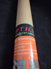 Reptile Desert Terrarium Lamp 24W 2pcs Bulbs