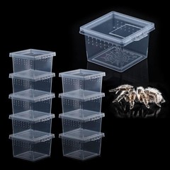 10 Pcs Insect Spider Terrariums Breeding Box Hatching Container Small Reptile…
