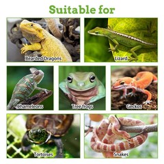 Bearded Dragon Hammock, Bearded Dragon Tank Accessories, Jungle Climber Vines…