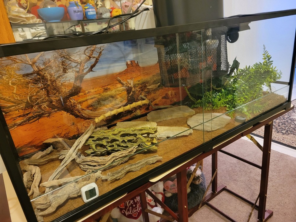 48x18x18 Reptile Enclosure with Sliding Glass Front Doors. All Made From…