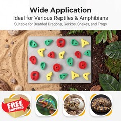 Maiguinzaa Reptile Climbing Wall 2 Set Tank Decor