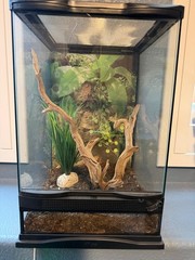 REPTIZOO 135 Gallon Glass Reptile Terrarium Tank, 36″ x 18″ x 48″ Wide & Tall…