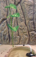 EXO TERRA DRIPPER PLANT – LARGE