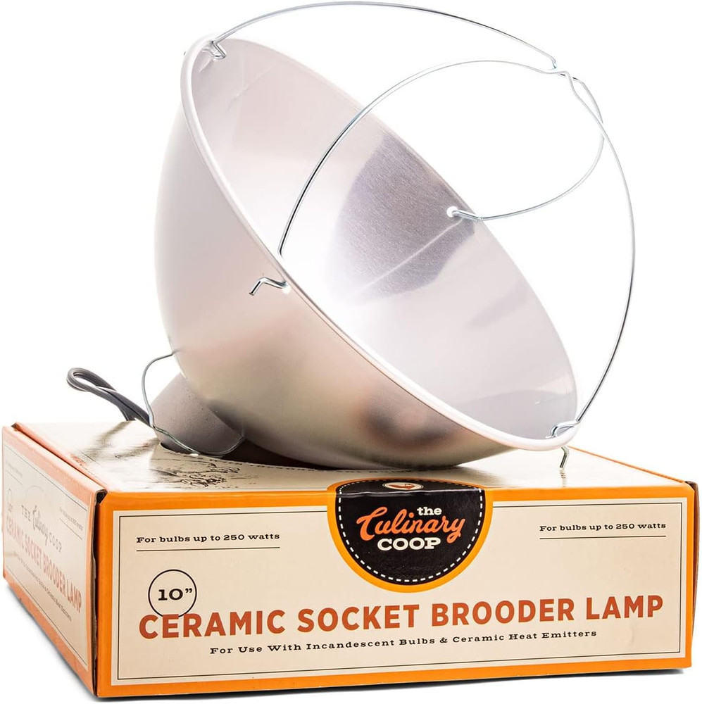 Fluker’S Culinary Coop Brooder Lamp for Chicken Coop or Outdoor Animals, 10-Inch