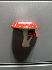 RED reptile magnetic ledge mushroom feeder bowl .5 Oz