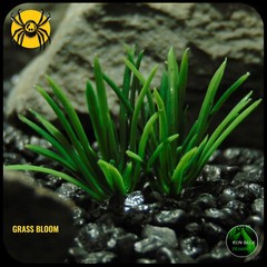 Artificial Miniature Grass Bloom | Jumping Spider Insect enclosure decor plant