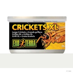 Exo Terra Canned Crickets, XL, 1.2 oz