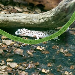 Climbing Cotton Rope Reptile Vines Simulation Moss Hanging for Reptiles