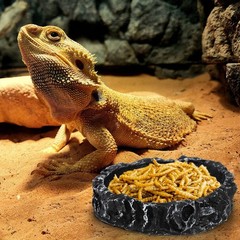 4 Pack Reptile Food Dish with Feeding Tongs, Resin Reptile Water Dish Food Bo…