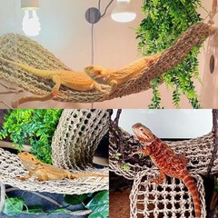 2Pcs Large Bearded Dragon Hammock Lizard Lounger Natural Seagrass Fiber Reptile