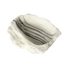 Reptile Water Bowl Food Feeding Bowl Drinking Tray Terrarium Habitat Decoration