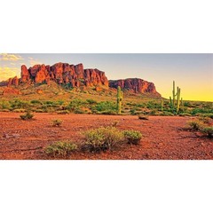 AWERT 48×24 inches Reptile Habitat Background Sky Oasis Mountain Cactus Sun a…