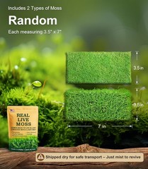 Live Moss Duo Pack 2 Types of Real Live Sheet/Sphagnum Moss Terrariums Terrarium
