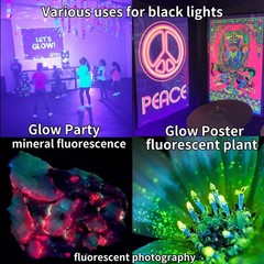60W Black Lights Flood Light,Blacklight with Plug 2 Count (Pack of 1), Purple