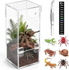Acrylic Spider Enclosure | Magnetic Closure & Ventilation | No Assembly