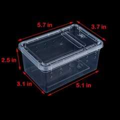 5 PCS Small Spider Terrariums, Transparent Reptile Breeding Box Hatching Case