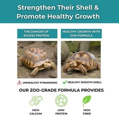 Baby Sulcata Food with Calcium – Scientifically Formulated Diet for Healthy G…