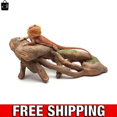 Non-Porous Gnarled Root for Reptile Enclosures – 3.94 lbs, Easy Maintenance