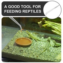 6Pcs Silver Stainless Steel Aquarium Plant Tweezers Round Nose Feeding Tool