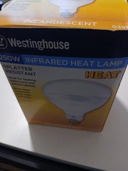 Heat Bulb and Brooder Bulb