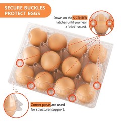 Egg Cartons 100 Packs, Plastic 3×4 Grids, Clear Egg Cartons Cheap Bulk for 12…