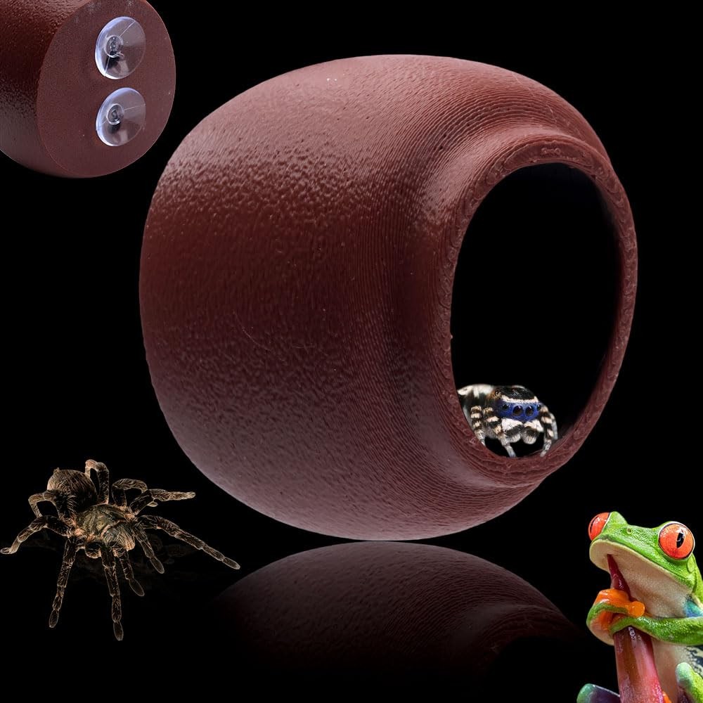 Jumping Spider Nest Spider Hideout Tree Frog Hide Hermit Crab Climbing House …
