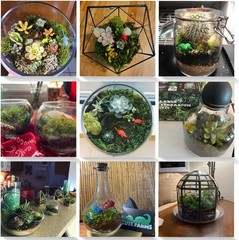 Complete Terrarium Starter Set | DIY Plant Care Accessories