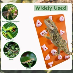 Okueejur Mini Reptile Rock Climbing Wall, Terrarium Enclosure Orange & Pink