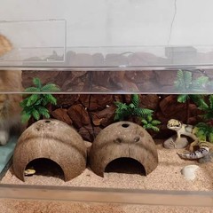 4 PCS Natural Coconut Shell Reptile Hideout Hermit Crab Gecko Lizard Habitat