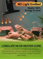 2-Pack 100W Infrared Ceramic Heat Lamps with Digital Thermometers for Reptiles